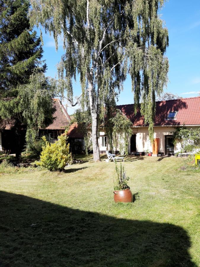 Le Domaine Des Anges Guest House Wavrans-sur-l'Aa Exterior photo